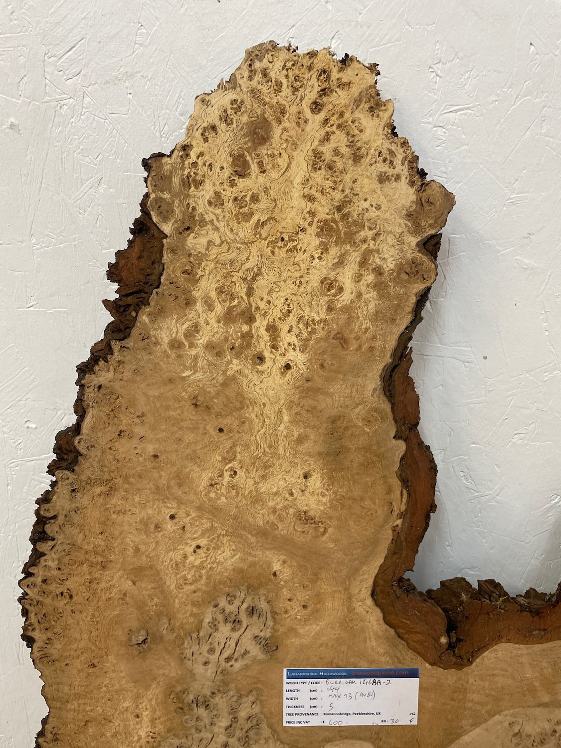 RIPPLE FIGURED BURR OAK Natural Waney Edge Slab Milled Finish Hardwood Board 1468A-2 Thickness 5cm Kiln Dried Seasoned Live Edge Coffee Tabletops Desks Wildwood Wallart - Image 5