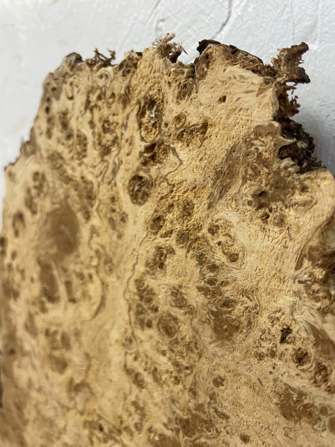 RIPPLE FIGURED BURR OAK Natural Waney Edge Slab Milled Finish Hardwood Board 1468A-2 Thickness 5cm Kiln Dried Seasoned Live Edge Coffee Tabletops Desks Wildwood Wallart - Image 13