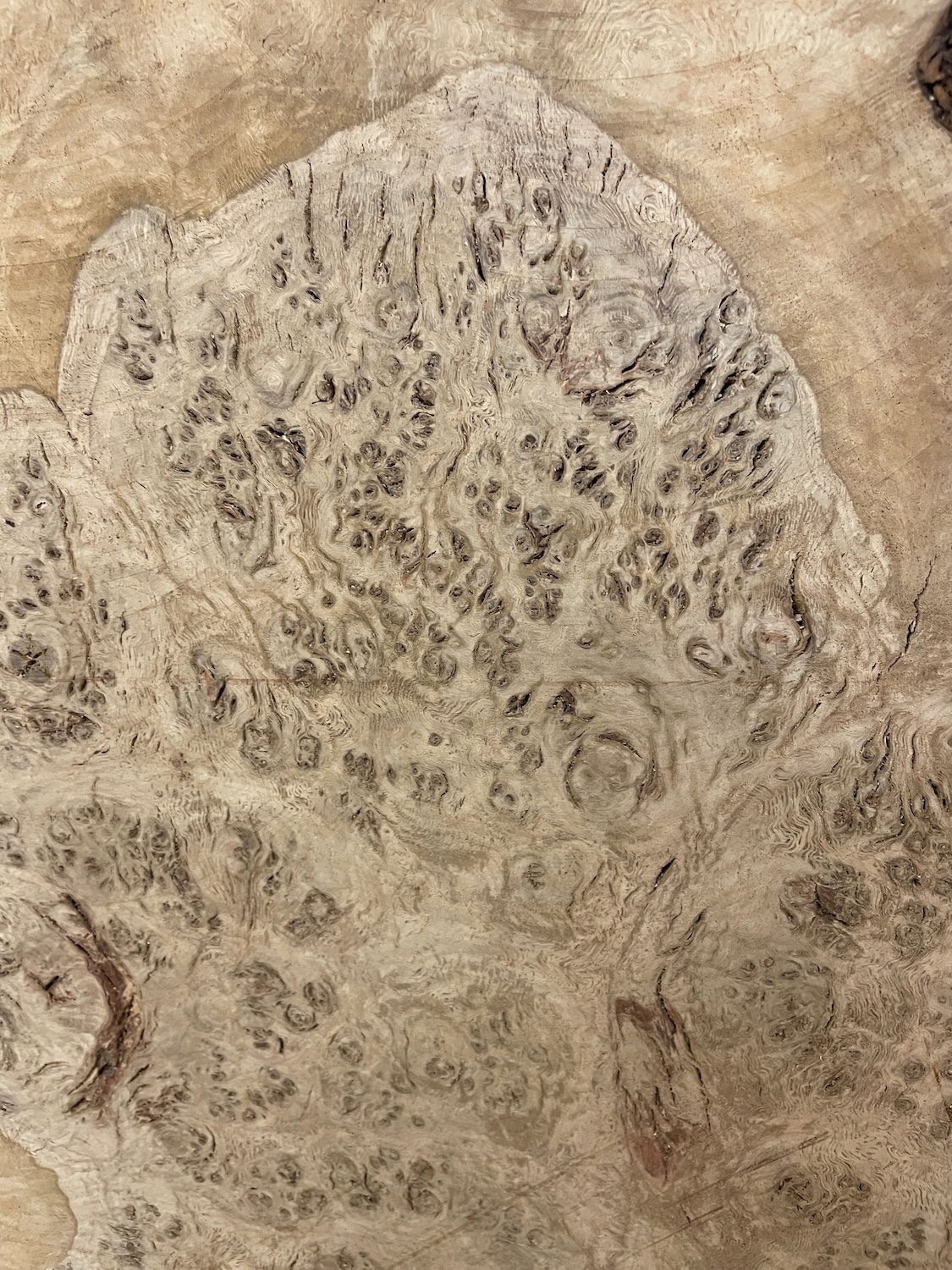 RIPPLE FIGURED BURR OAK Natural Waney Edge Slab Milled Finish Hardwood Board 1468A-2 Thickness 5cm Kiln Dried Seasoned Live Edge Coffee Tabletops Desks Wildwood Wallart - Image 15