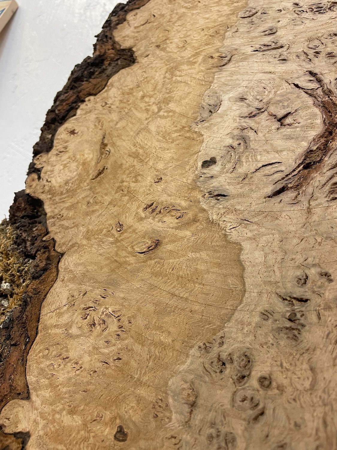 RIPPLE FIGURED BURR OAK Natural Waney Edge Slab Milled Finish Hardwood Board 1468A-2 Thickness 5cm Kiln Dried Seasoned Live Edge Coffee Tabletops Desks Wildwood Wallart - Image 17