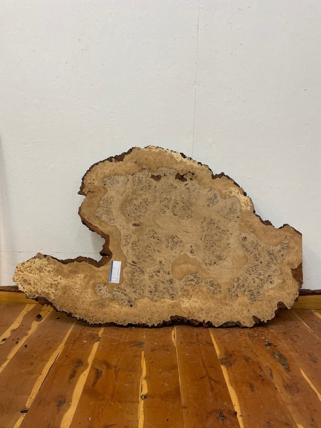 RIPPLE FIGURED BURR OAK Natural Waney Edge Slab Milled Finish Hardwood Board 1468A-2 Thickness 5cm Kiln Dried Seasoned Live Edge Coffee Tabletops Desks Wildwood Wallart - Image 18