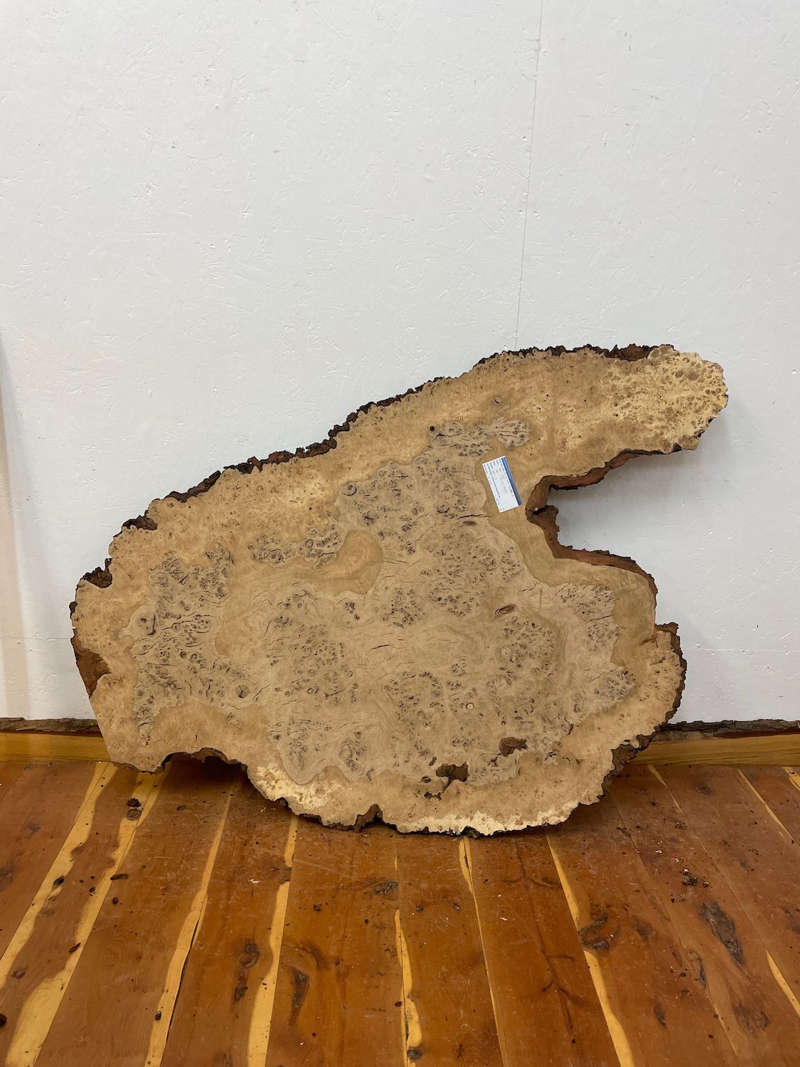 RIPPLE FIGURED BURR OAK Natural Waney Edge Slab Milled Finish Hardwood Board 1468A-2 Thickness 5cm Kiln Dried Seasoned Live Edge Coffee Tabletops Desks Wildwood Wallart - Image 19