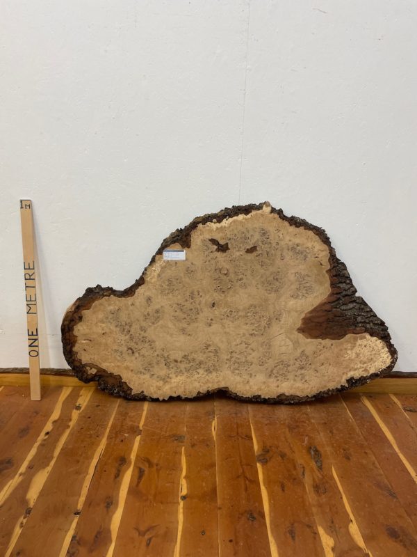 RIPPLE FIGURED BURR OAK Natural Waney Edge Slab Milled Finish Hardwood Board 1468A-3 Thickness 5cm Kiln Dried Seasoned Live Edge Coffee Tabletops Desks Wildwood Wallart