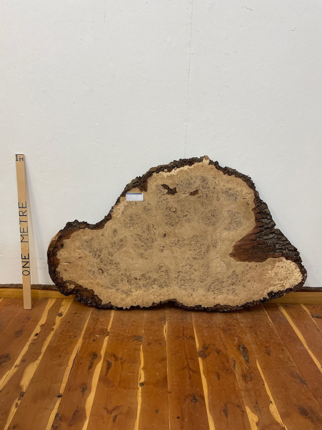 RIPPLE FIGURED BURR OAK Natural Waney Edge Slab Milled Finish Hardwood Board 1468A-3 Thickness 5cm Kiln Dried Seasoned Live Edge Coffee Tabletops Desks Wildwood Wallart