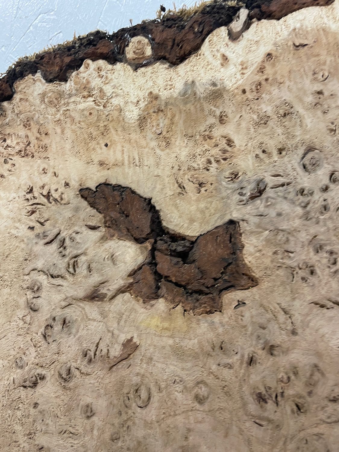 RIPPLE FIGURED BURR OAK Natural Waney Edge Slab Milled Finish Hardwood Board 1468A-3 Thickness 5cm Kiln Dried Seasoned Live Edge Coffee Tabletops Desks Wildwood Wallart - Image 10