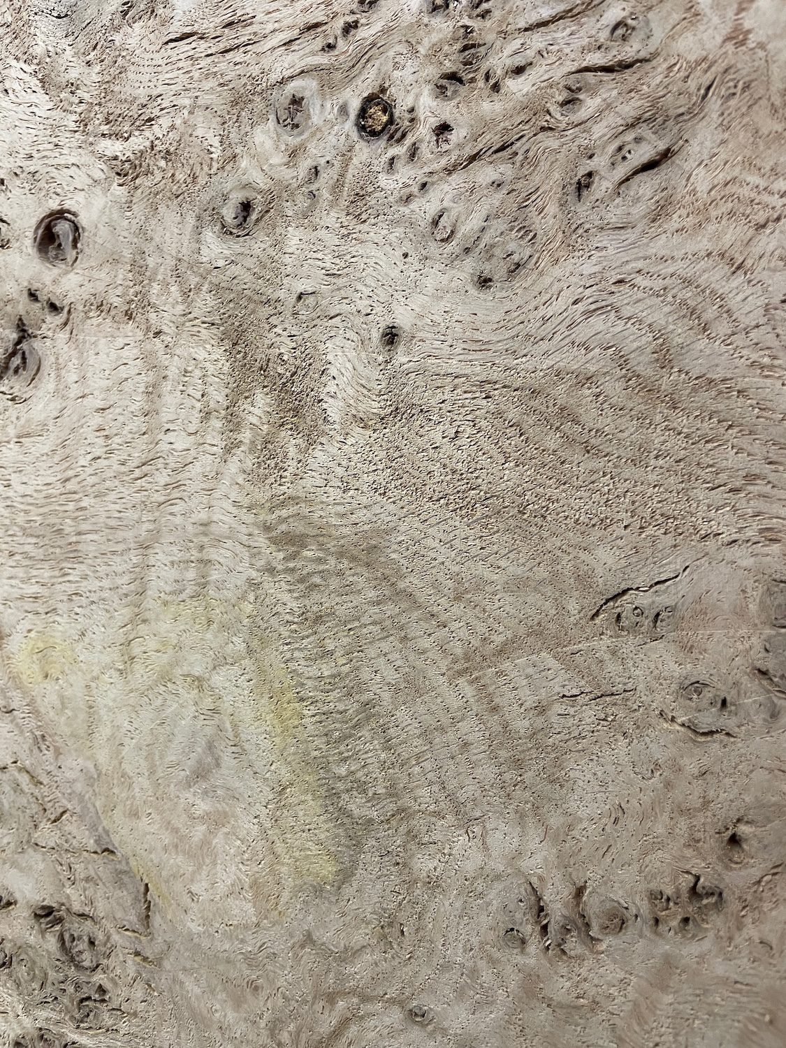 RIPPLE FIGURED BURR OAK Natural Waney Edge Slab Milled Finish Hardwood Board 1468A-3 Thickness 5cm Kiln Dried Seasoned Live Edge Coffee Tabletops Desks Wildwood Wallart - Image 12