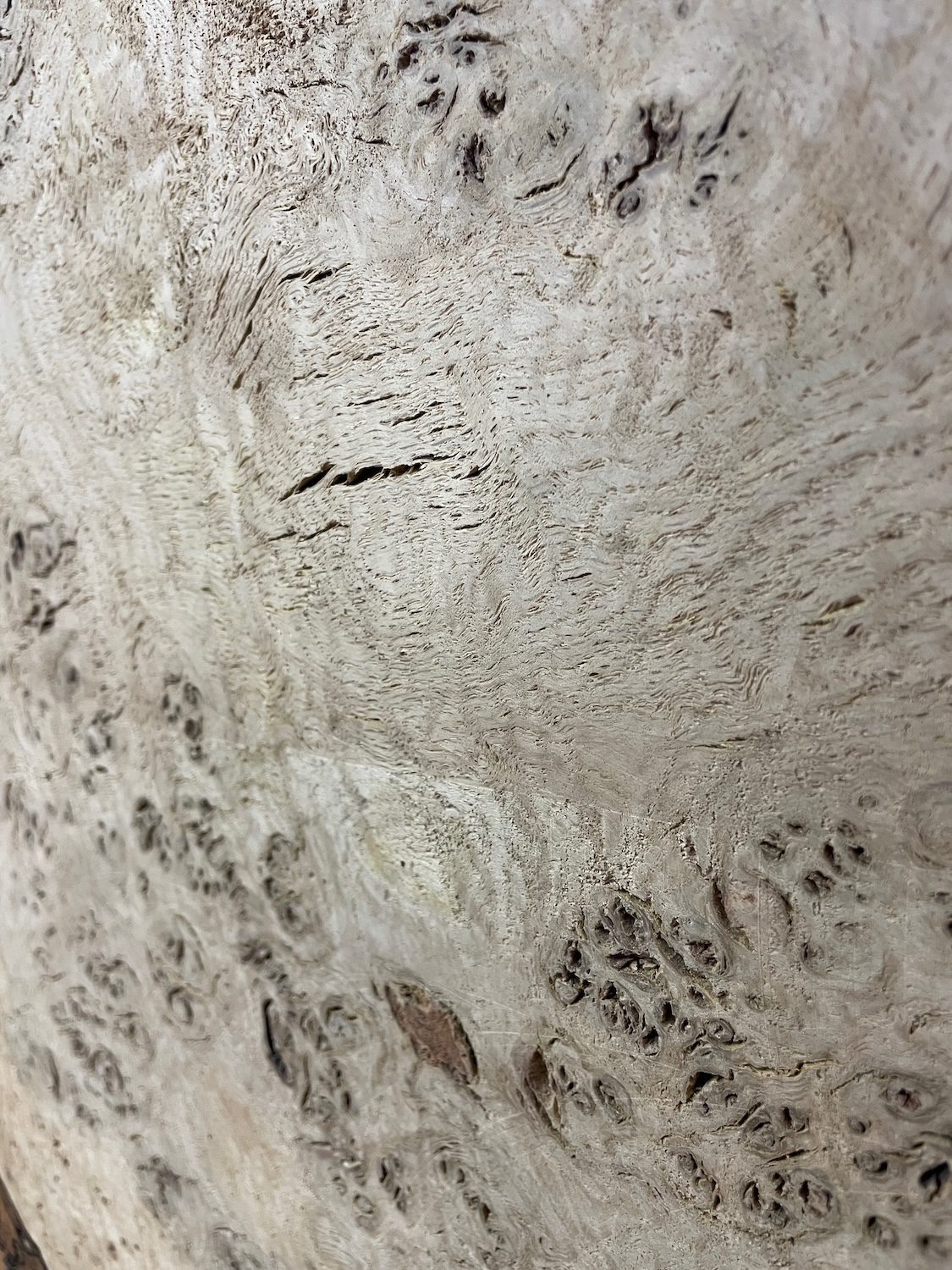 RIPPLE FIGURED BURR OAK Natural Waney Edge Slab Milled Finish Hardwood Board 1468A-3 Thickness 5cm Kiln Dried Seasoned Live Edge Coffee Tabletops Desks Wildwood Wallart - Image 13