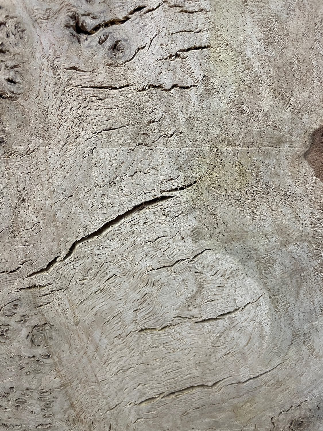 RIPPLE FIGURED BURR OAK Natural Waney Edge Slab Milled Finish Hardwood Board 1468A-3 Thickness 5cm Kiln Dried Seasoned Live Edge Coffee Tabletops Desks Wildwood Wallart - Image 15