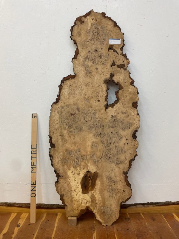 RIPPLE FIGURED BURR OAK Natural Waney Edge Slab Milled Finish Hardwood Board 1468A-16 Thickness 5cm Kiln Dried Seasoned Live Edge Coffee Tabletops Desks Wildwood Wallart Dining Tabletops