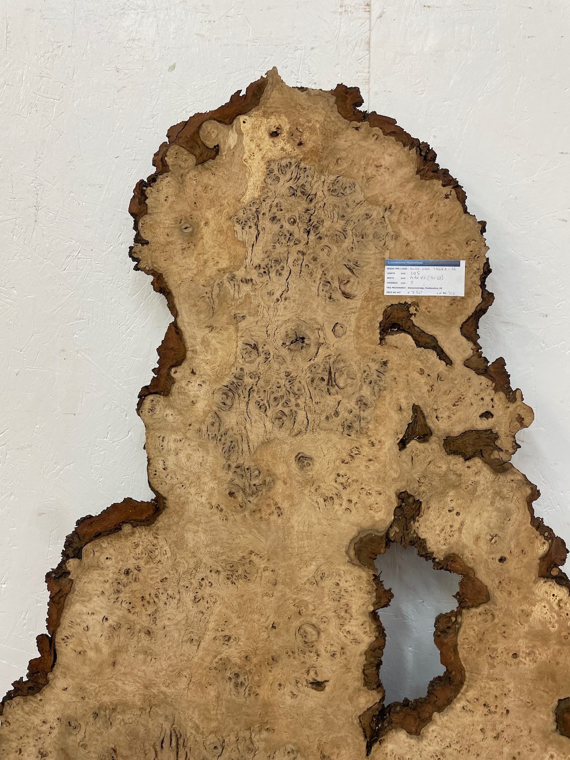 RIPPLE FIGURED BURR OAK Natural Waney Edge Slab Milled Finish Hardwood Board 1468A-16 Thickness 5cm Kiln Dried Seasoned Live Edge Coffee Tabletops Desks Wildwood Wallart Dining Tabletops - Image 4