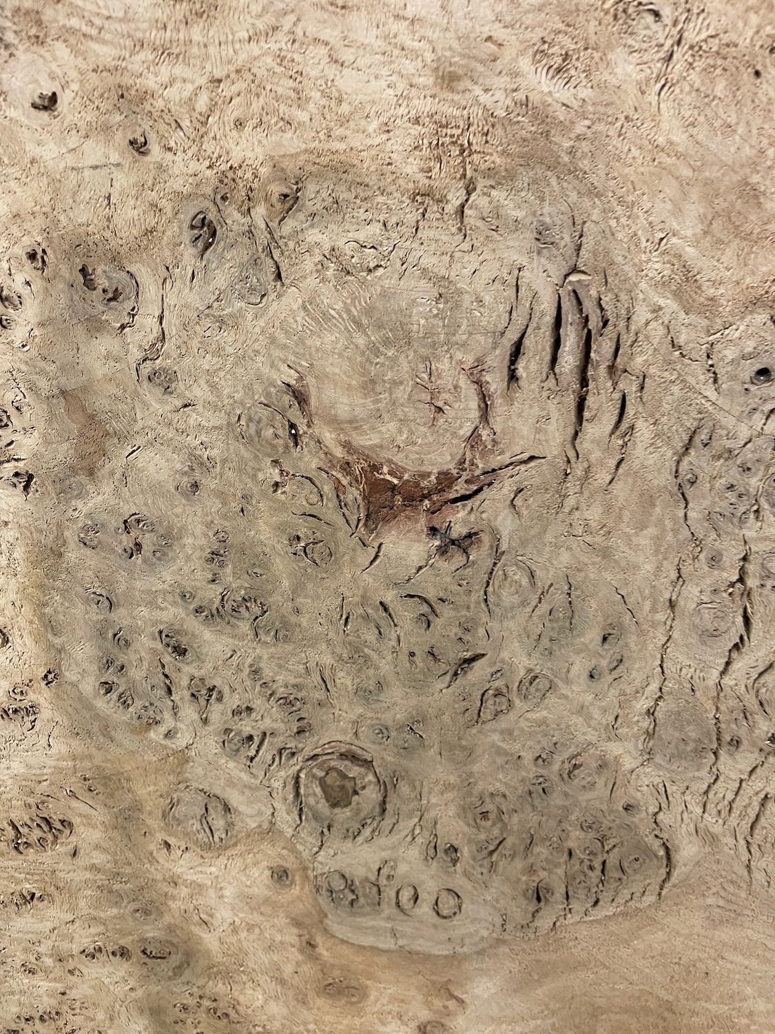 RIPPLE FIGURED BURR OAK Natural Waney Edge Slab Milled Finish Hardwood Board 1468A-16 Thickness 5cm Kiln Dried Seasoned Live Edge Coffee Tabletops Desks Wildwood Wallart Dining Tabletops - Image 6