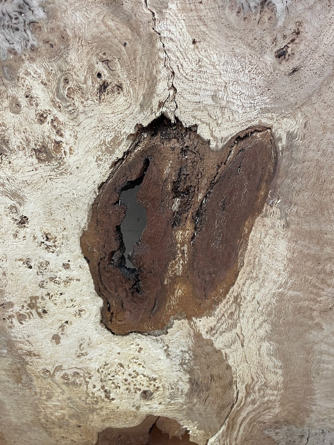 RIPPLE FIGURED BURR OAK Natural Waney Edge Slab Milled Finish Hardwood Board 1468A-16 Thickness 5cm Kiln Dried Seasoned Live Edge Coffee Tabletops Desks Wildwood Wallart Dining Tabletops - Image 9