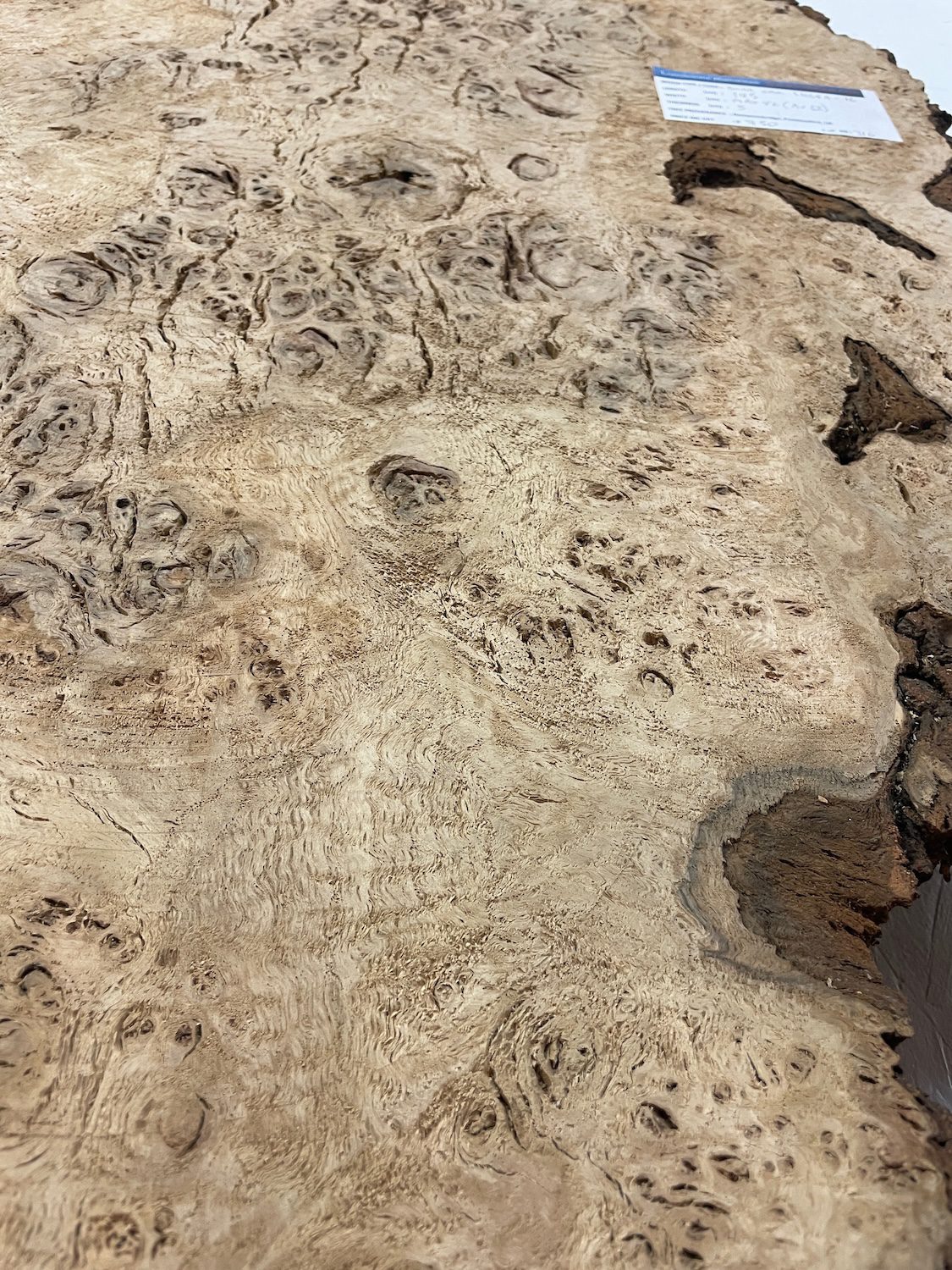 RIPPLE FIGURED BURR OAK Natural Waney Edge Slab Milled Finish Hardwood Board 1468A-16 Thickness 5cm Kiln Dried Seasoned Live Edge Coffee Tabletops Desks Wildwood Wallart Dining Tabletops - Image 14