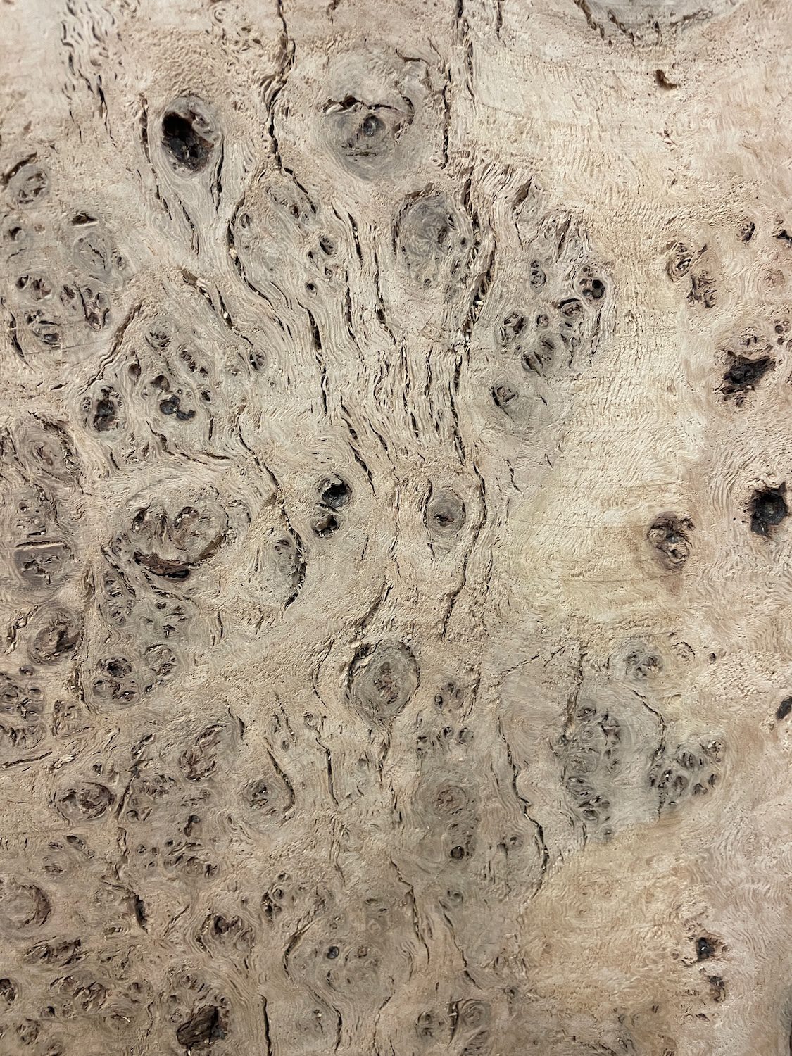 RIPPLE FIGURED BURR OAK Natural Waney Edge Slab Milled Finish Hardwood Board 1468A-16 Thickness 5cm Kiln Dried Seasoned Live Edge Coffee Tabletops Desks Wildwood Wallart Dining Tabletops - Image 12