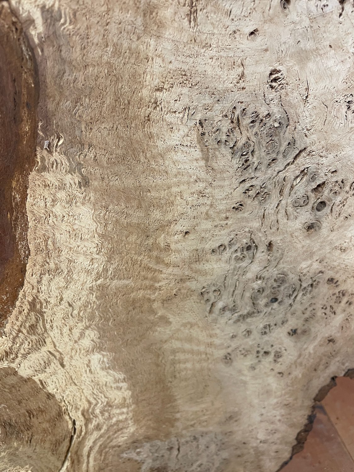 RIPPLE FIGURED BURR OAK Natural Waney Edge Slab Milled Finish Hardwood Board 1468A-16 Thickness 5cm Kiln Dried Seasoned Live Edge Coffee Tabletops Desks Wildwood Wallart Dining Tabletops - Image 13