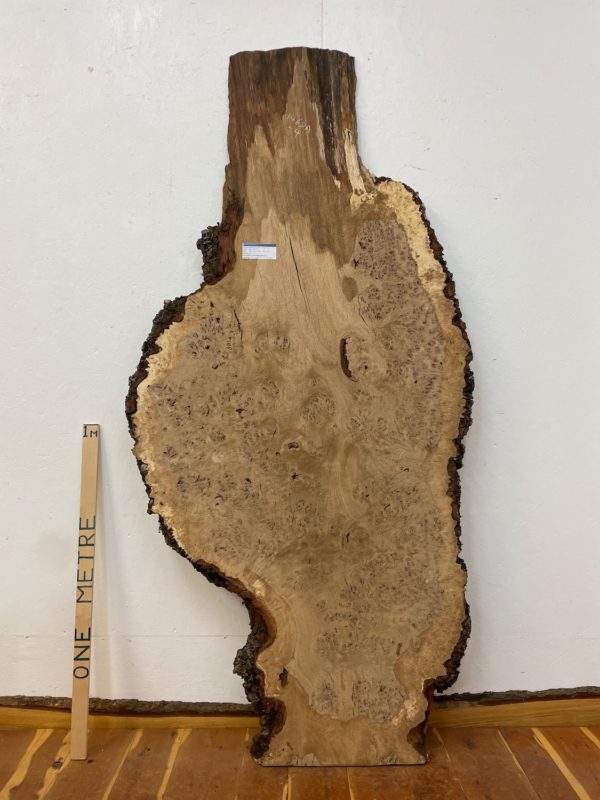 RIPPLE FIGURED BURR OAK Natural Waney Edge Slab Milled Finish Hardwood Board 1468A-4 Thickness 5cm Kiln Dried Seasoned Live Edge Coffee Tabletops Desks Wildwood Wallart Dining Tabletops