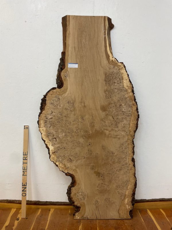 RIPPLE FIGURED BURR OAK Natural Waney Edge Slab Milled Finish Hardwood Board 1468A-5 Thickness 5cm Kiln Dried Seasoned Live Edge Coffee Tabletops Desks Wildwood Wallart Dining Tabletops