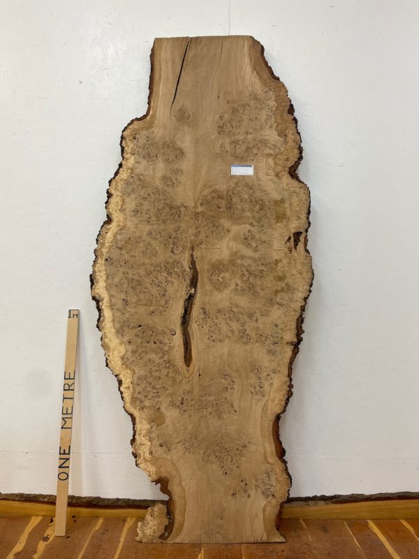 RIPPLE FIGURED BURR OAK Natural Waney Edge Slab Milled Finish Hardwood Board 1468A-14 Thickness 5cm Kiln Dried Seasoned Live Edge Coffee Tabletops Desks Wildwood Wallart Dining Tabletops