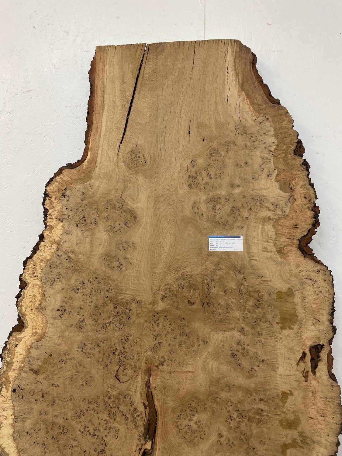 RIPPLE FIGURED BURR OAK Natural Waney Edge Slab Milled Finish Hardwood Board 1468A-14 Thickness 5cm Kiln Dried Seasoned Live Edge Coffee Tabletops Desks Wildwood Wallart Dining Tabletops - Image 4