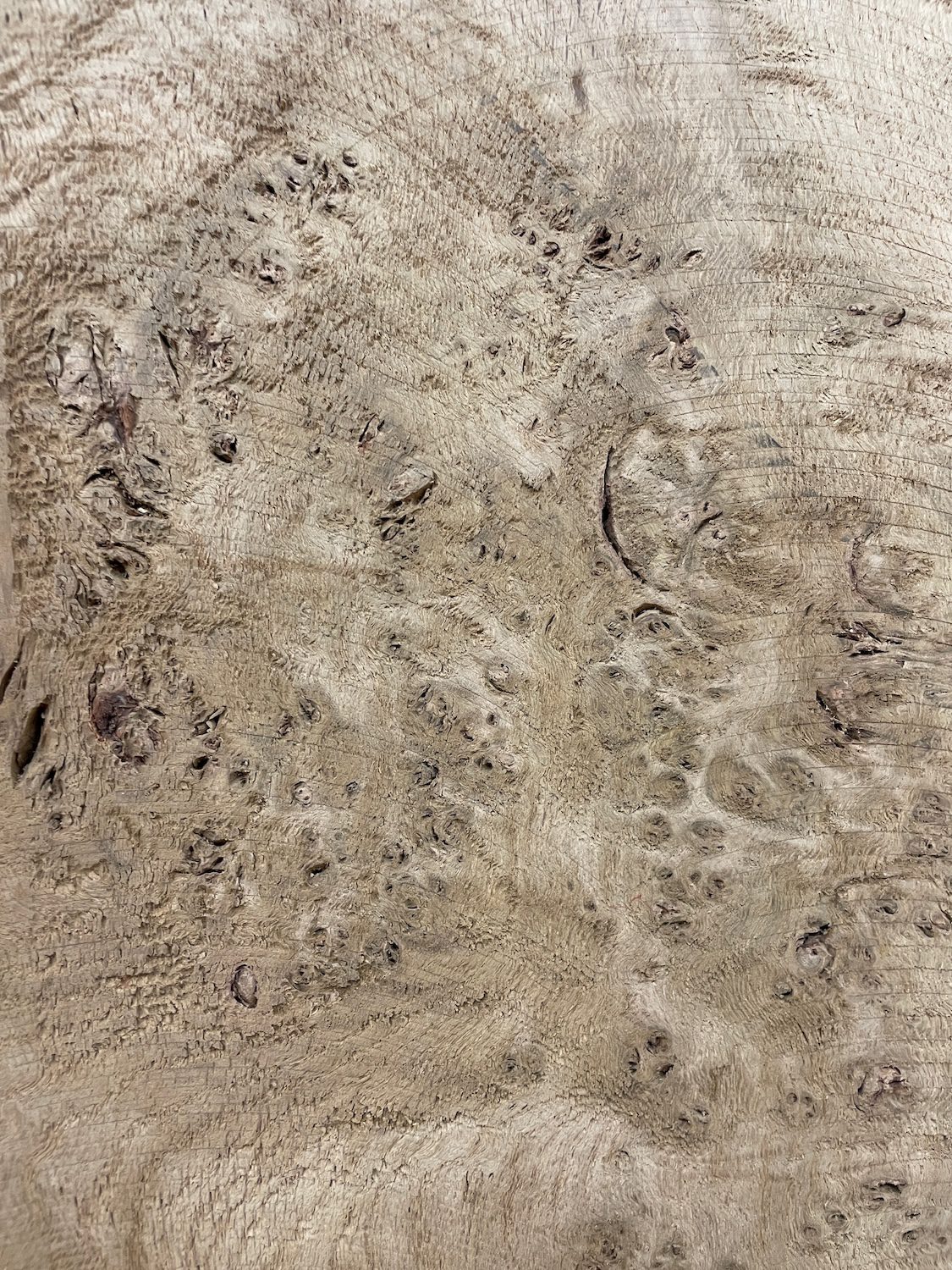 RIPPLE FIGURED BURR OAK Natural Waney Edge Slab Milled Finish Hardwood Board 1468A-14 Thickness 5cm Kiln Dried Seasoned Live Edge Coffee Tabletops Desks Wildwood Wallart Dining Tabletops - Image 7