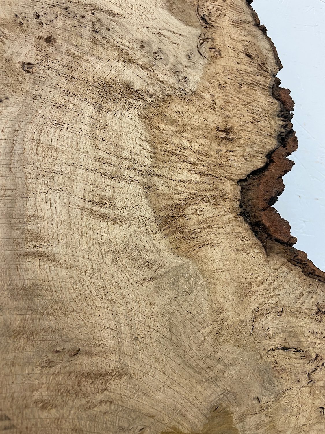 RIPPLE FIGURED BURR OAK Natural Waney Edge Slab Milled Finish Hardwood Board 1468A-14 Thickness 5cm Kiln Dried Seasoned Live Edge Coffee Tabletops Desks Wildwood Wallart Dining Tabletops - Image 8