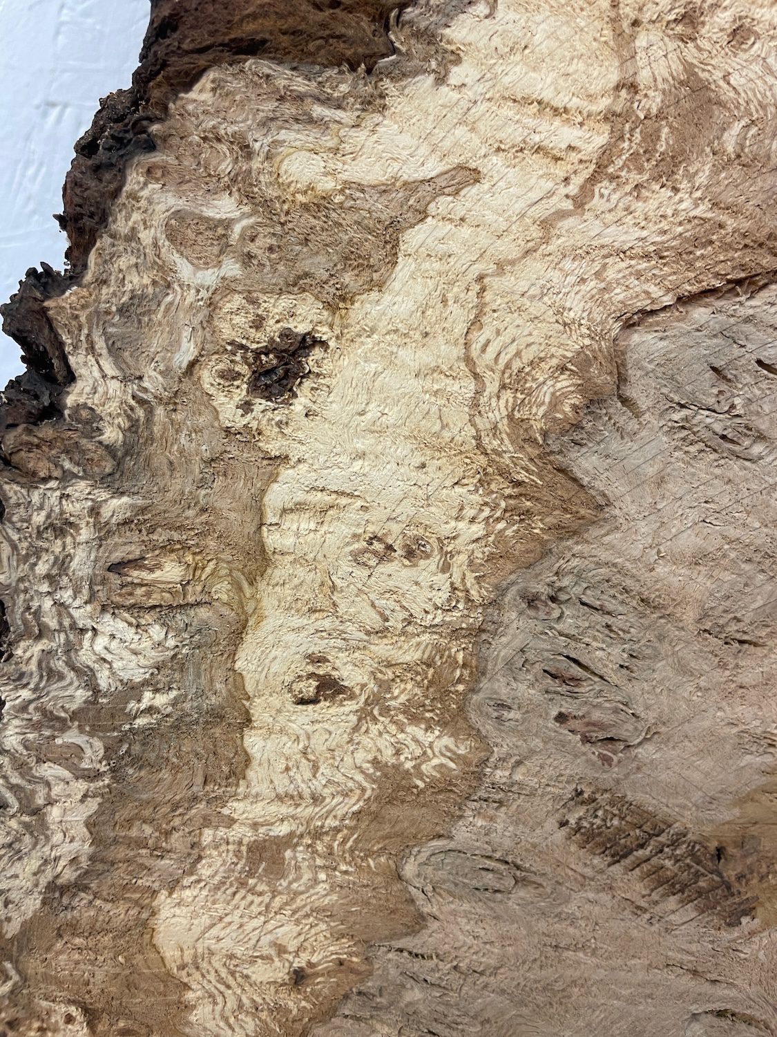 RIPPLE FIGURED BURR OAK Natural Waney Edge Slab Milled Finish Hardwood Board 1468A-14 Thickness 5cm Kiln Dried Seasoned Live Edge Coffee Tabletops Desks Wildwood Wallart Dining Tabletops - Image 13