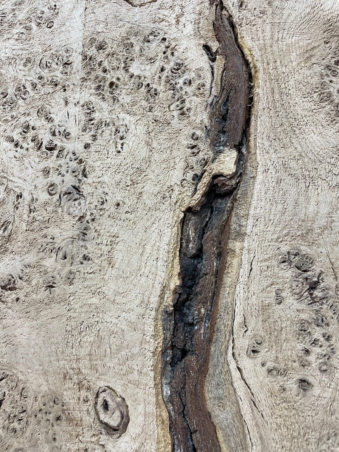 RIPPLE FIGURED BURR OAK Natural Waney Edge Slab Milled Finish Hardwood Board 1468A-14 Thickness 5cm Kiln Dried Seasoned Live Edge Coffee Tabletops Desks Wildwood Wallart Dining Tabletops - Image 14