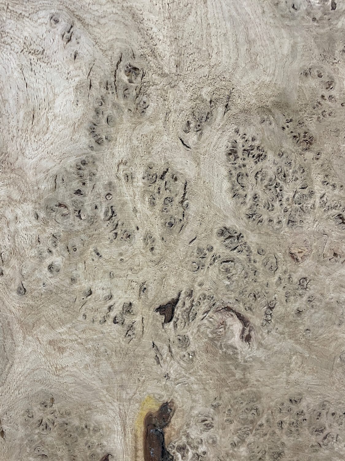 RIPPLE FIGURED BURR OAK Natural Waney Edge Slab Milled Finish Hardwood Board 1468A-14 Thickness 5cm Kiln Dried Seasoned Live Edge Coffee Tabletops Desks Wildwood Wallart Dining Tabletops - Image 20