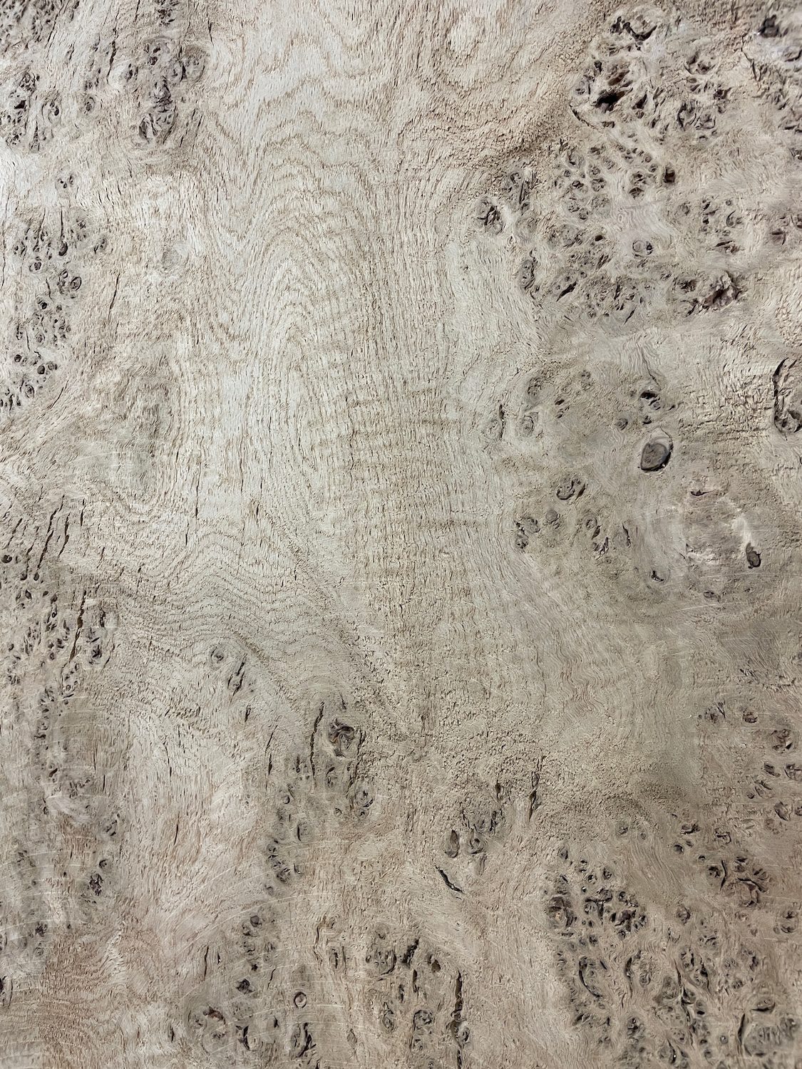 RIPPLE FIGURED BURR OAK Natural Waney Edge Slab Milled Finish Hardwood Board 1468A-14 Thickness 5cm Kiln Dried Seasoned Live Edge Coffee Tabletops Desks Wildwood Wallart Dining Tabletops - Image 23