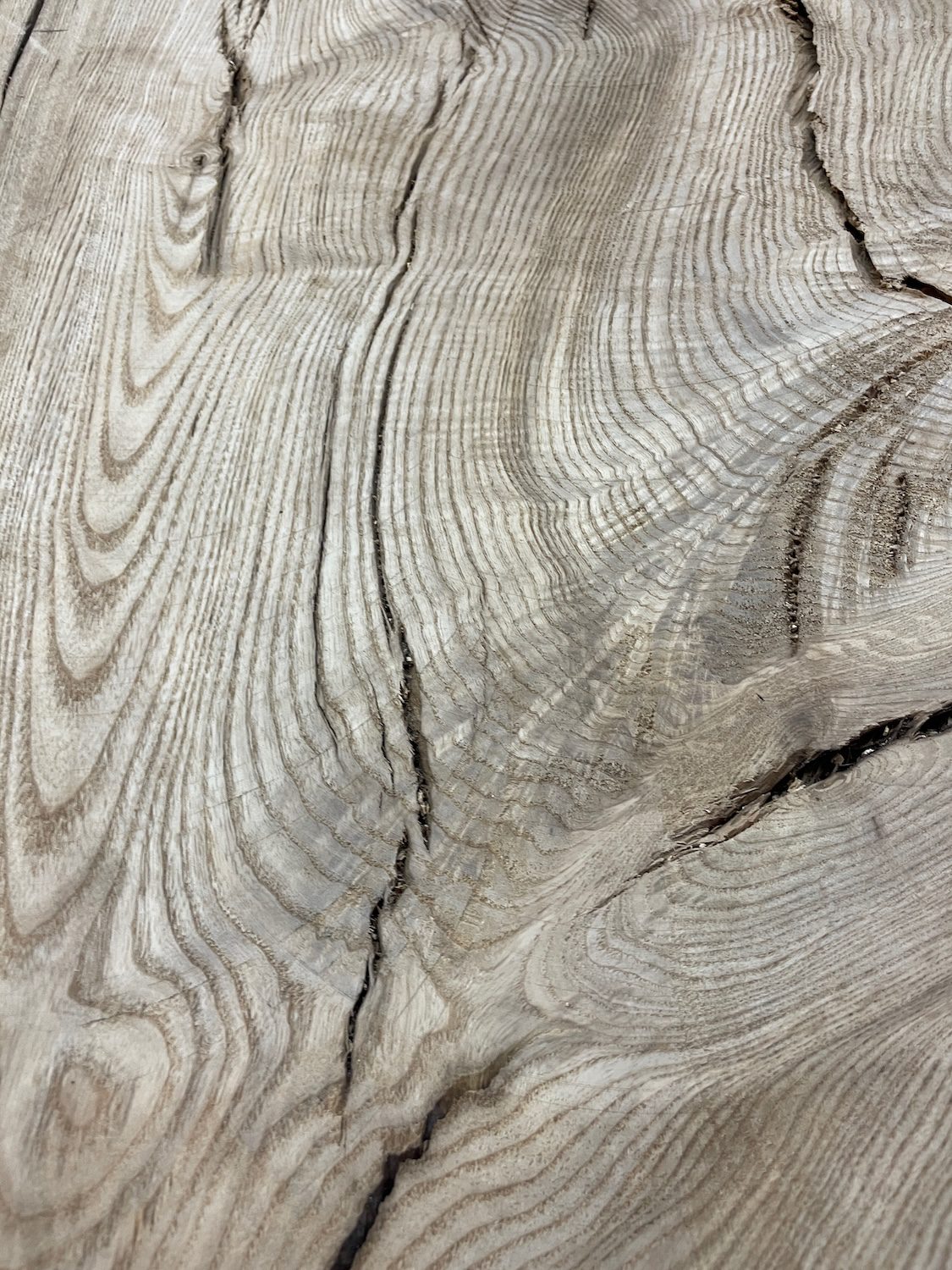 RIPPLE FIGURED OLIVE ASH Natural Waney Edge Slab Milled Finish Hardwood Board 1647B-7 Thickness 6cm Kiln Dried Seasoned Live Edge Desks Wildwood Dining Tabletops Coffee Tabletops Wallart - Image 9
