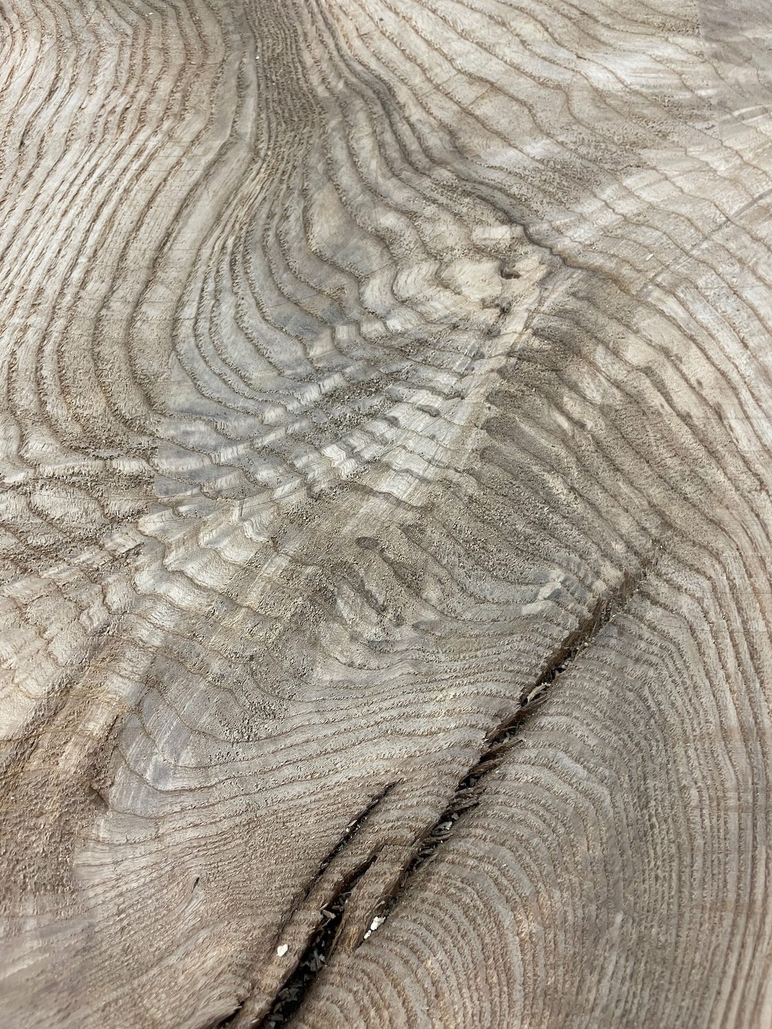 RIPPLE FIGURED OLIVE ASH Natural Waney Edge Slab Milled Finish Hardwood Board 1647B-7 Thickness 6cm Kiln Dried Seasoned Live Edge Desks Wildwood Dining Tabletops Coffee Tabletops Wallart - Image 17