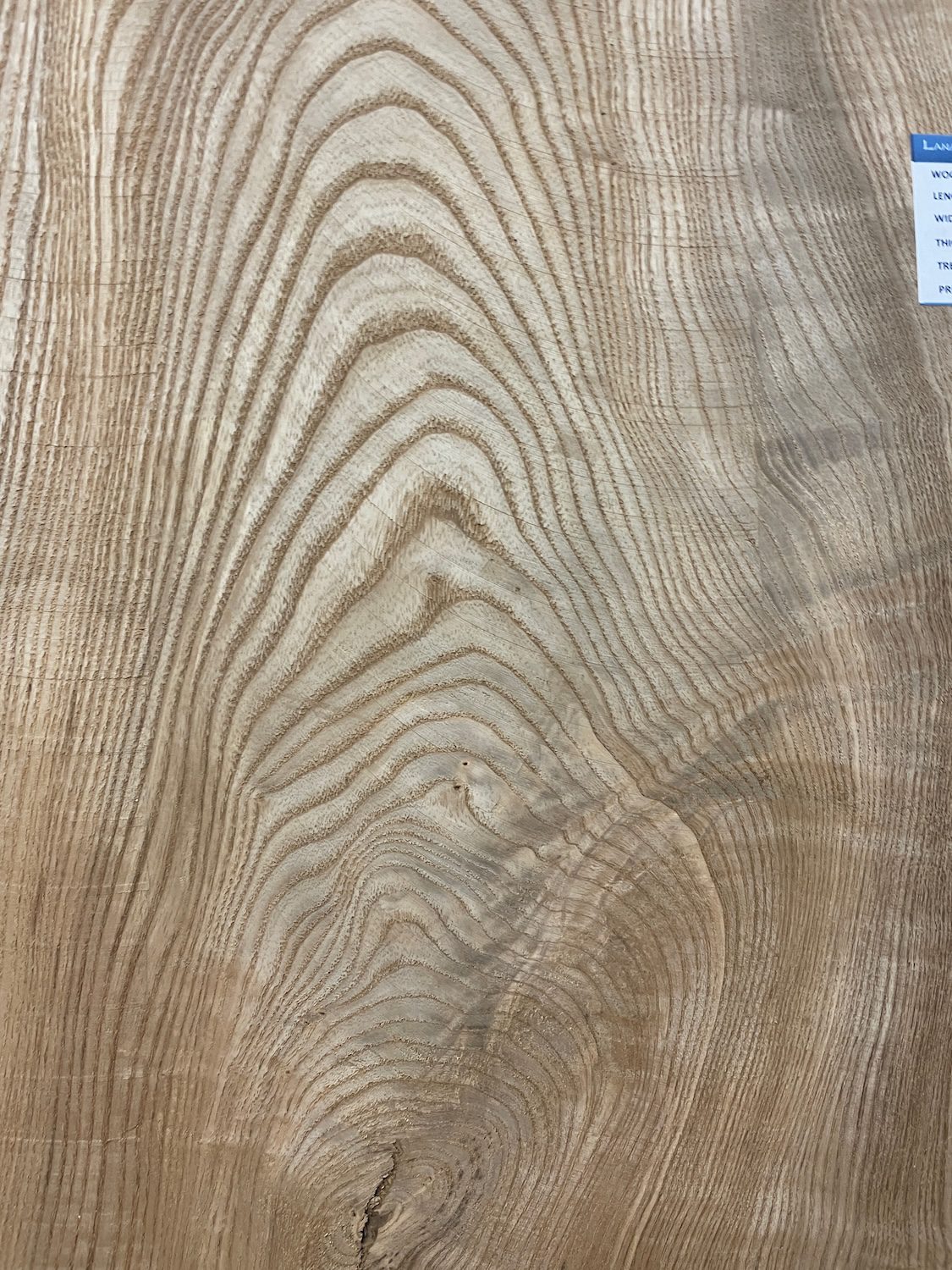 RIPPLE FIGURED OLIVE ASH Natural Waney Edge Slab Milled Finish Hardwood Board 1647B-8 Thickness 6cm Kiln Dried Seasoned Live Edge Desks Wildwood Dining Tabletops Coffee Tabletops - Image 6