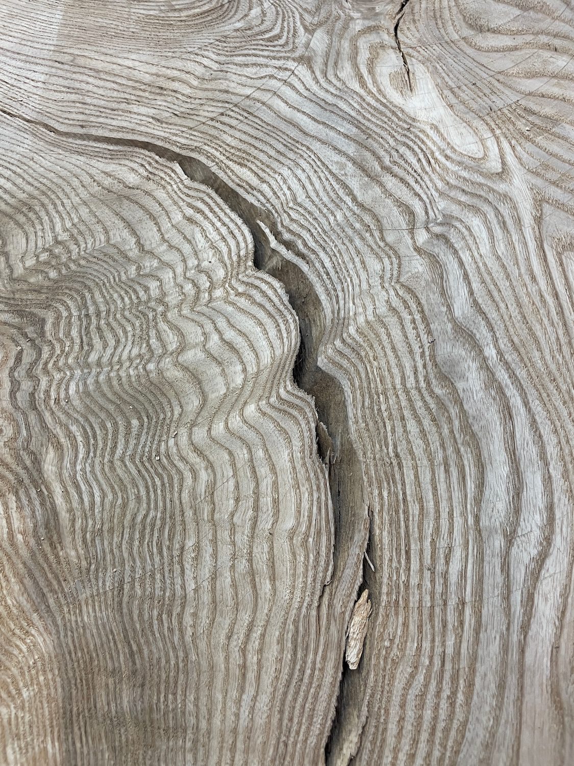 RIPPLE FIGURED OLIVE ASH Natural Waney Edge Slab Milled Finish Hardwood Board 1647B-8 Thickness 6cm Kiln Dried Seasoned Live Edge Desks Wildwood Dining Tabletops Coffee Tabletops - Image 8