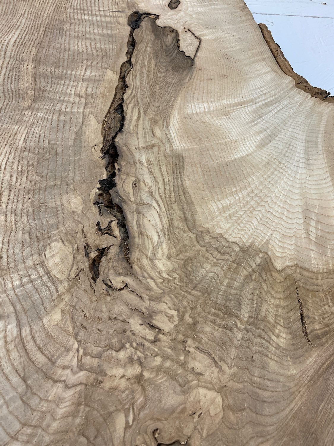 RIPPLE FIGURED OLIVE ASH Natural Waney Edge Slab Milled Finish Hardwood Board 1647A-11 Thickness 6cm Kiln Dried Seasoned Live Edge Desks Wildwood Dining Tabletops - Image 19
