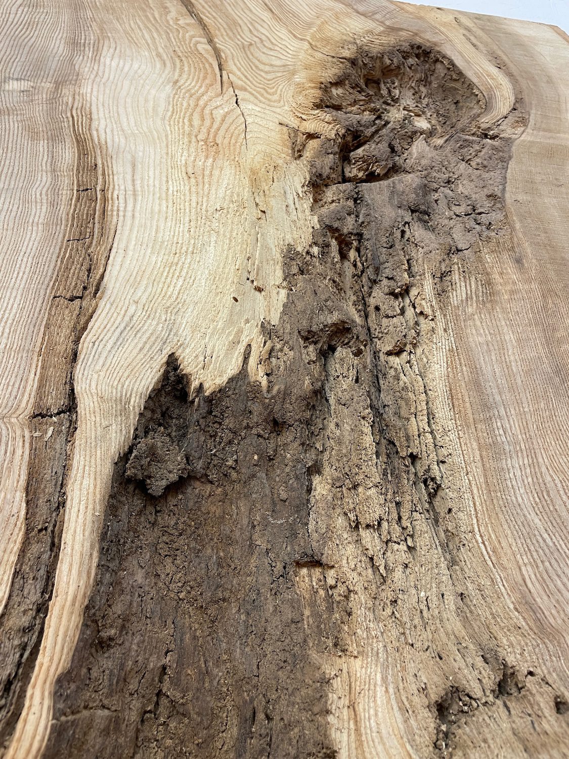 RIPPLE FIGURED OLIVE ASH Natural Waney Edge Slab Milled Finish Hardwood Board 1647A-11 Thickness 6cm Kiln Dried Seasoned Live Edge Desks Wildwood Dining Tabletops - Image 25