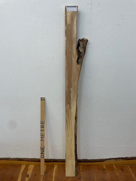 SPALTED BEECH Single Waney Edge Slab Planed Finish Hardwood Board 1558A-1 Thickness 7cm Kiln Dried Seasoned Live Edge Wildwood Shelves Fire Surrounds Mantels