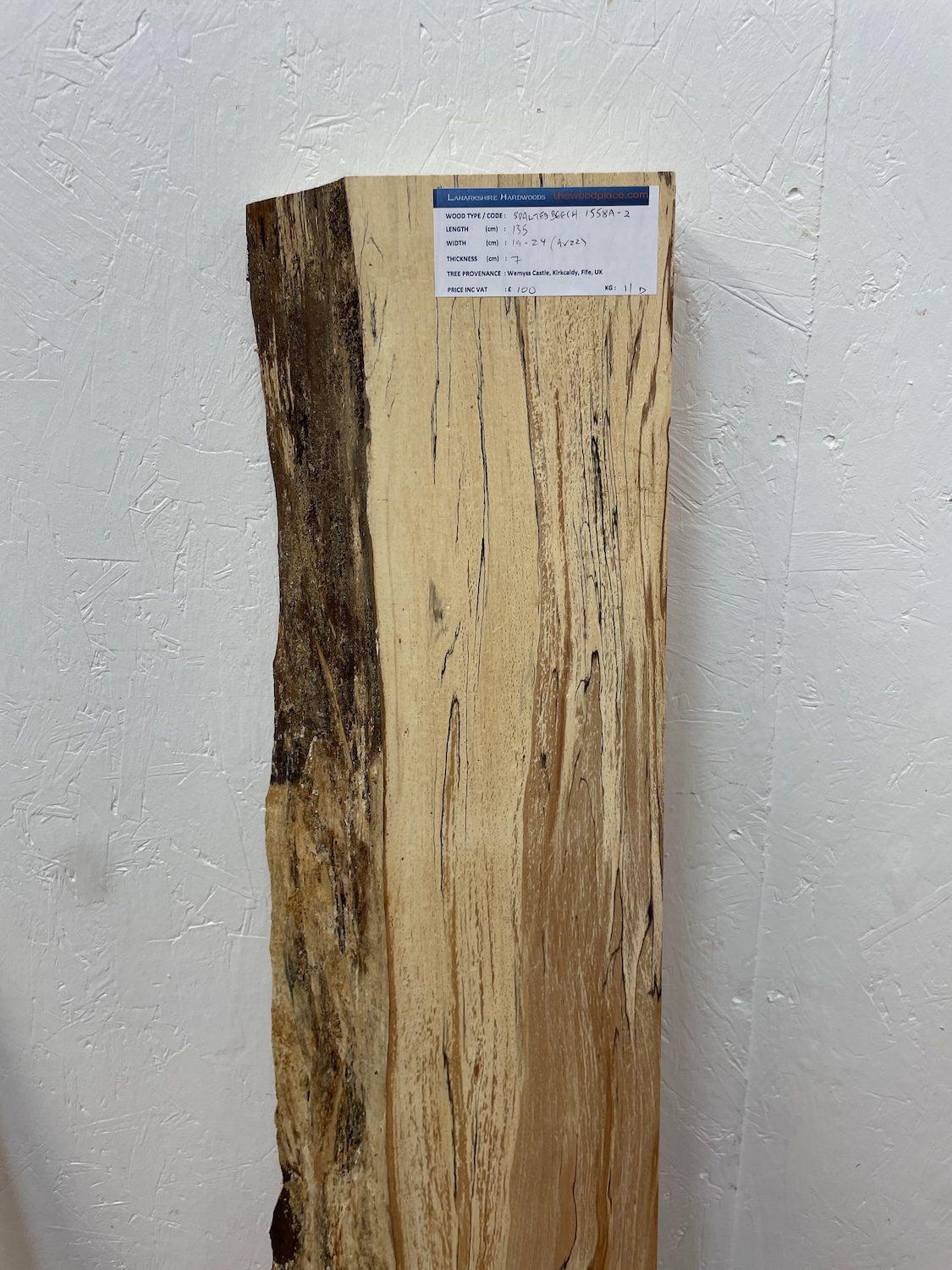 SPALTED BEECH Single Waney Edge Slab Planed Finish Hardwood Board 1558A-8 Thickness 6cm Kiln Dried Seasoned Live Edge Wildwood Shelves Fire Surrounds Mantels - Image 4