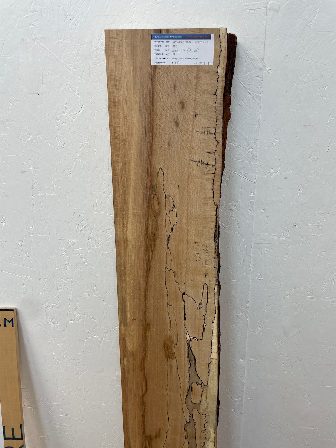 SPALTED BEECH Single Waney Edge Slab Planed Finish Hardwood Board 1558A-19 Thickness 7cm Kiln Dried Seasoned Live Edge Wildwood Shelves Fire Surrounds Mantels - Image 4