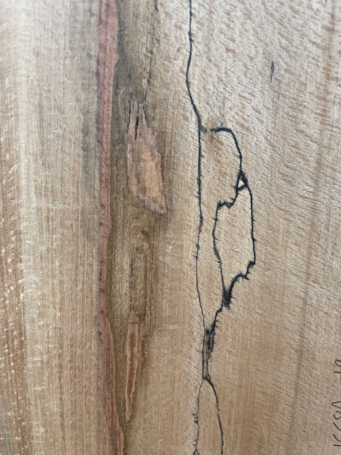 SPALTED BEECH Single Waney Edge Slab Planed Finish Hardwood Board 1558A-19 Thickness 7cm Kiln Dried Seasoned Live Edge Wildwood Shelves Fire Surrounds Mantels - Image 7