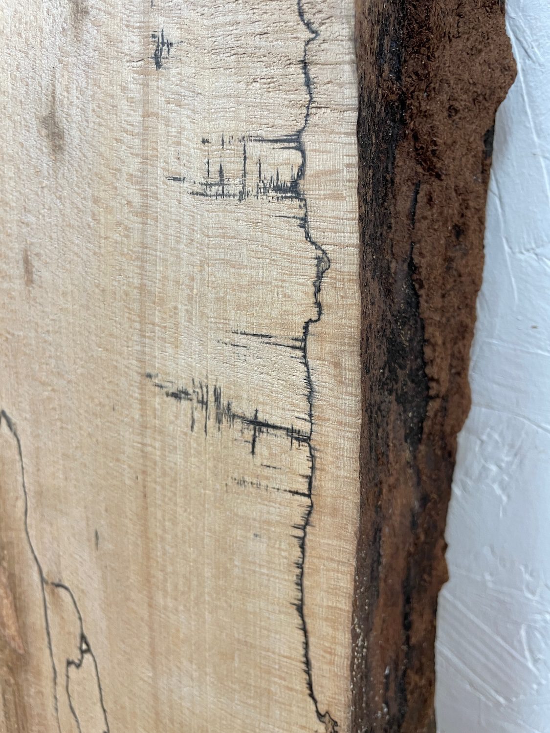 SPALTED BEECH Single Waney Edge Slab Planed Finish Hardwood Board 1558A-19 Thickness 7cm Kiln Dried Seasoned Live Edge Wildwood Shelves Fire Surrounds Mantels - Image 8