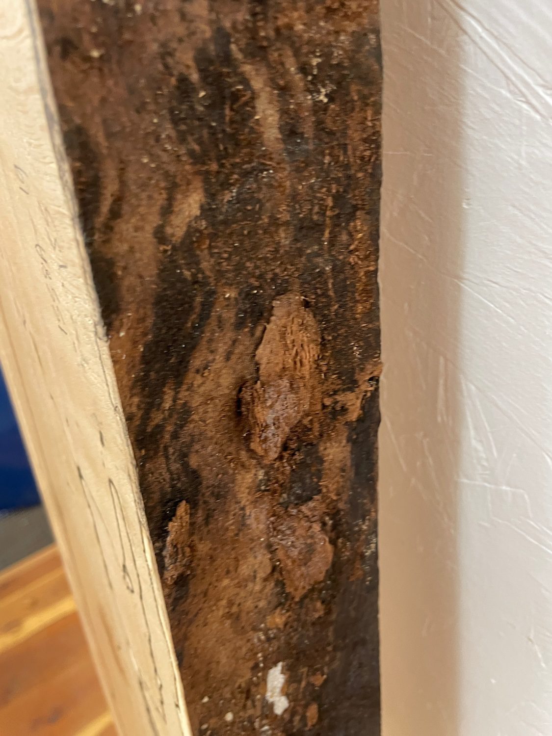 SPALTED BEECH Single Waney Edge Slab Planed Finish Hardwood Board 1558A-19 Thickness 7cm Kiln Dried Seasoned Live Edge Wildwood Shelves Fire Surrounds Mantels - Image 9