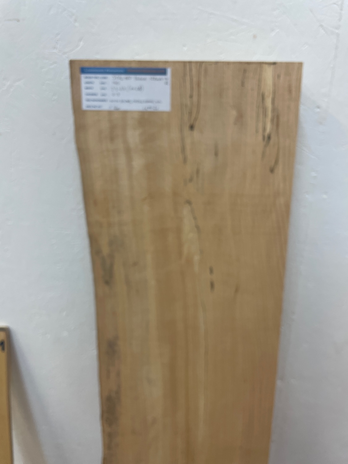 SPALTED BEECH Single Waney Edge Slab Planed Finish Hardwood Board 1224A-14R Thickness 9.3cm Kiln Dried Seasoned Live Edge Wildwood Shelves Mantels - Image 4