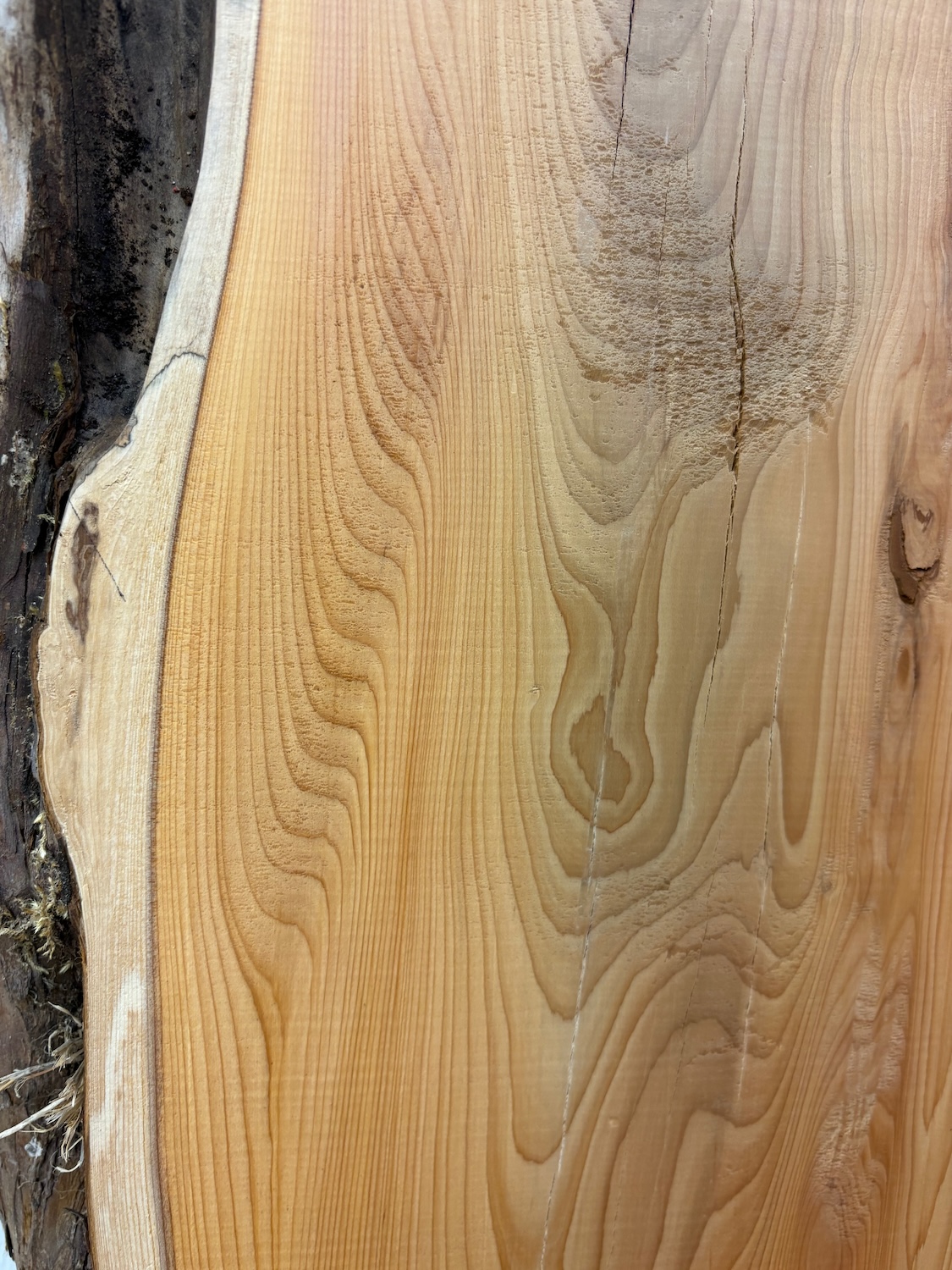 YEW Natural Waney Edge Slab Planed Finish Hardwood Board 1587-2A Thickness 5cm Kiln Dried Seasoned Live Edge Furniture making CoffeeTableTops Decorative Wildwood Board - Image 10