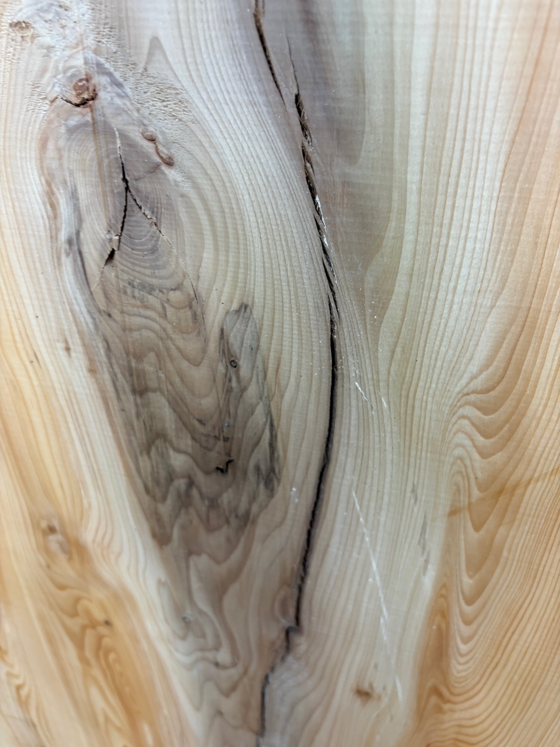YEW Natural Waney Edge Slab Planed Finish Hardwood Board 1587-2A Thickness 5cm Kiln Dried Seasoned Live Edge Furniture making CoffeeTableTops Decorative Wildwood Board - Image 15