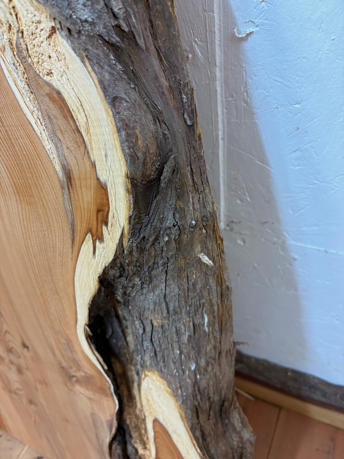 YEW Natural Waney Edge Slab Planed Finish Hardwood Board 1597-3 Thickness 5cm Kiln Dried Seasoned Live Edge Offcut - Image 6