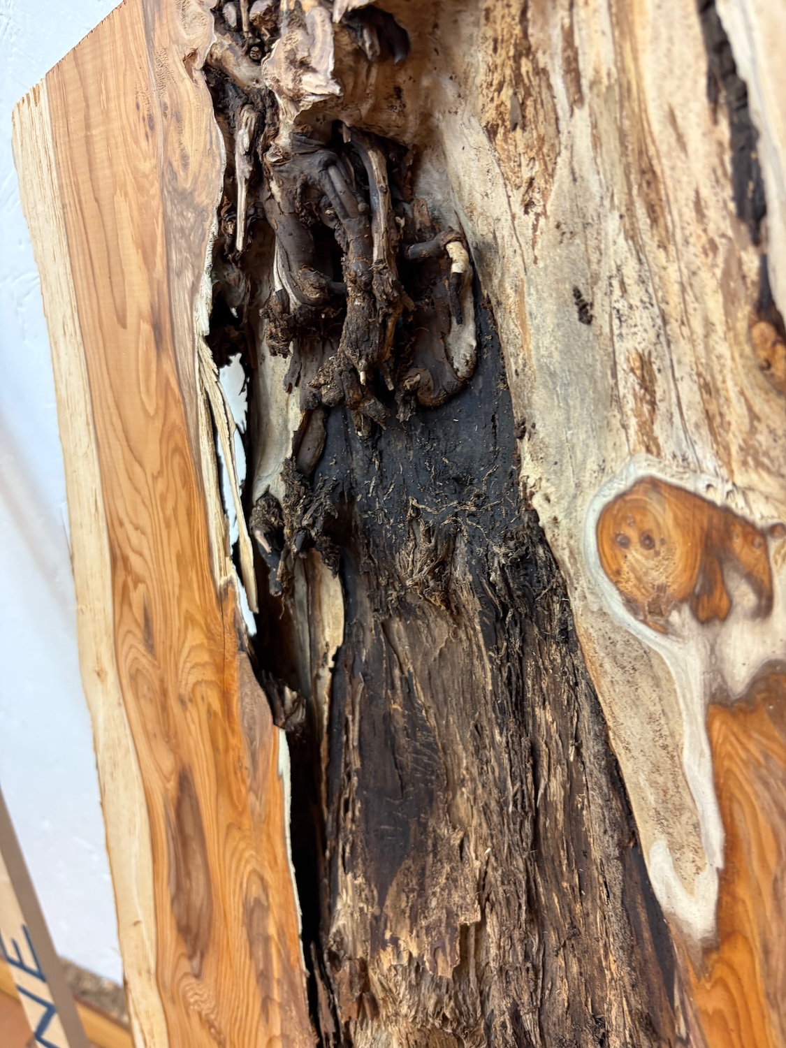 YEW Natural Waney Edge Slab Planed Finish Hardwood Board 1597-3 Thickness 5cm Kiln Dried Seasoned Live Edge Offcut - Image 9