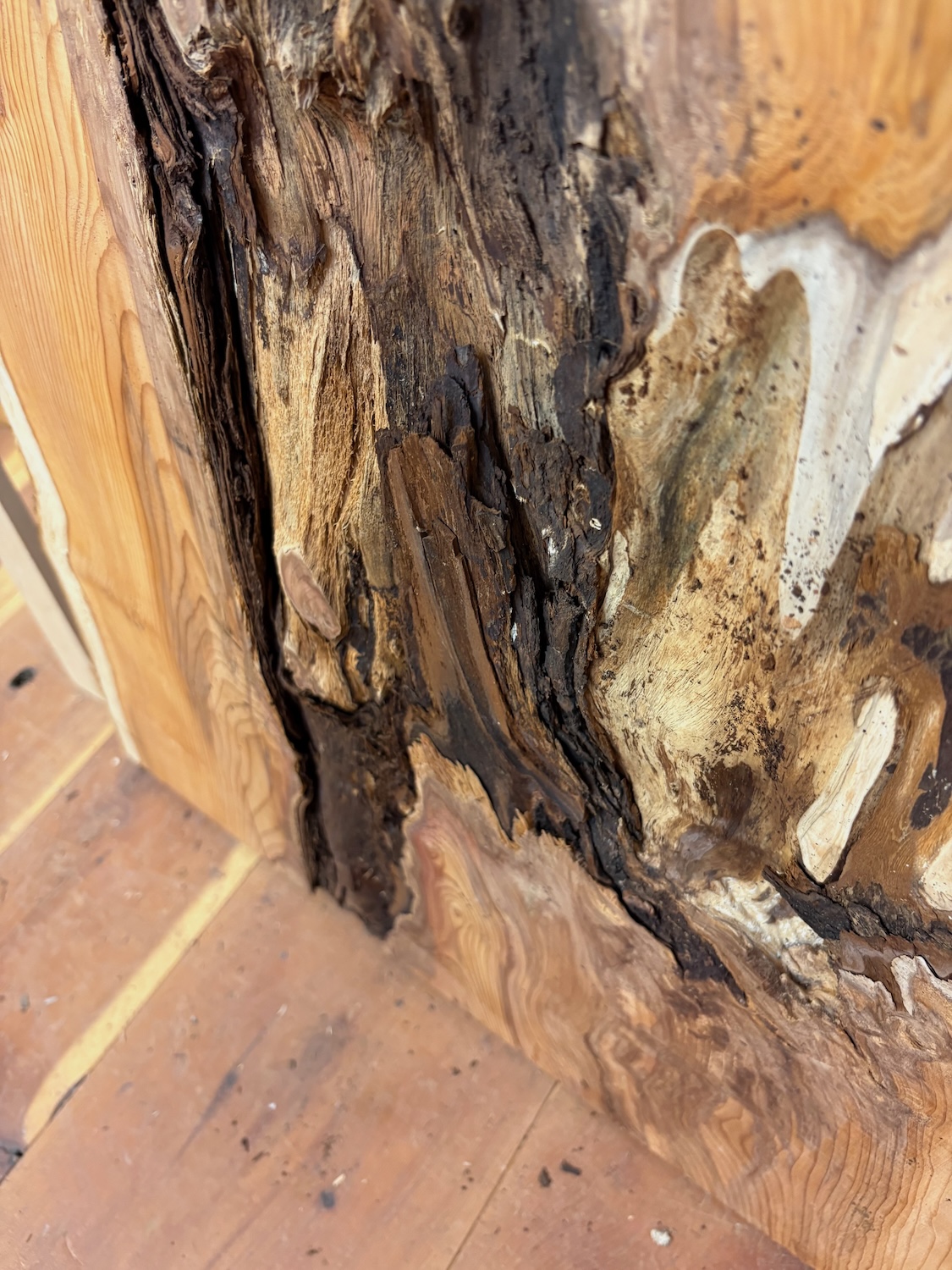 YEW Natural Waney Edge Slab Planed Finish Hardwood Board 1597-3 Thickness 5cm Kiln Dried Seasoned Live Edge Offcut - Image 10