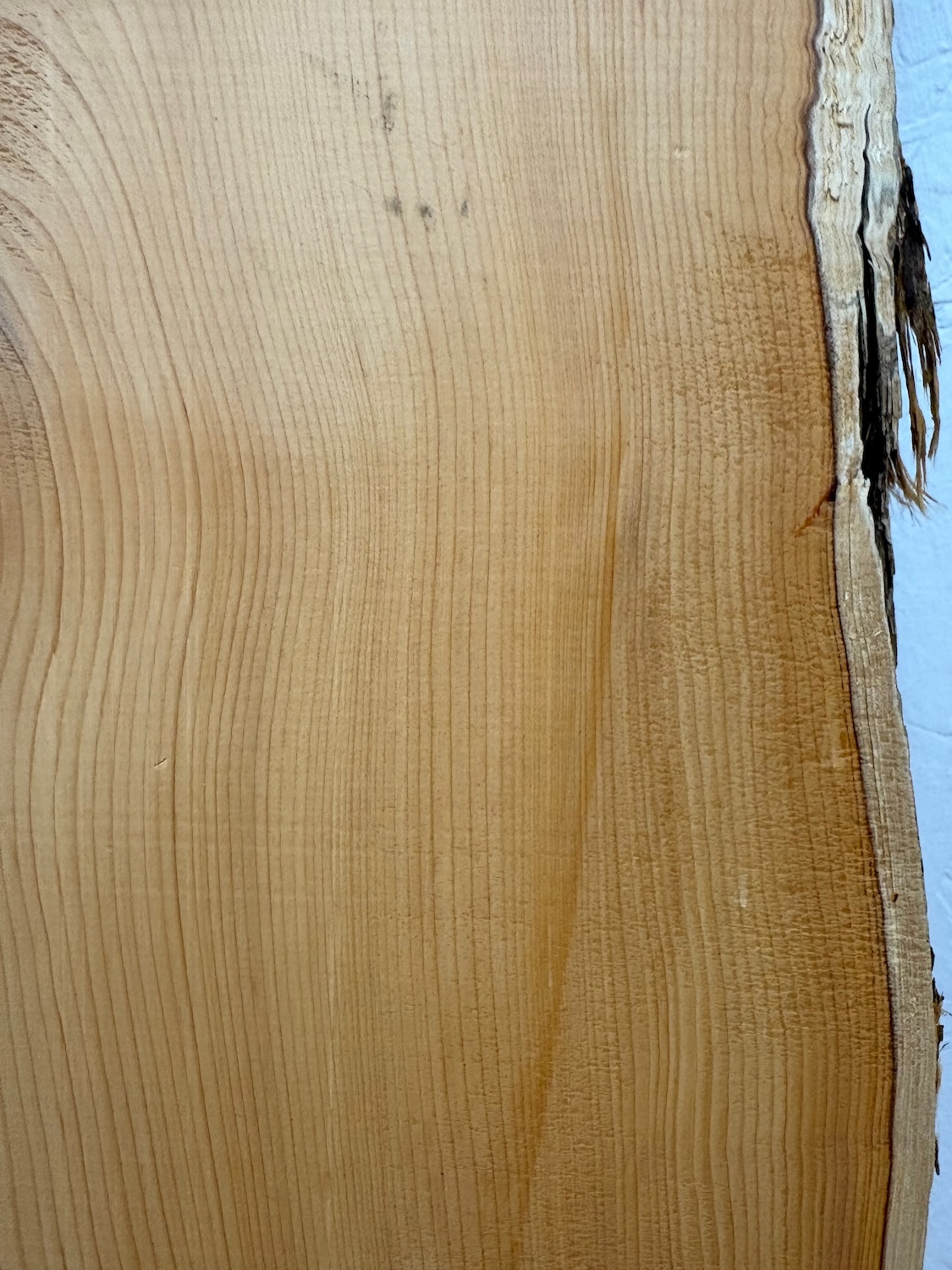 YEW Single Waney Edge Slab Planed Finish Hardwood Board 1592-3-1 Thickness 5cm Kiln Dried Seasoned Live Edge Shelves Mantels Wildwood - Image 7